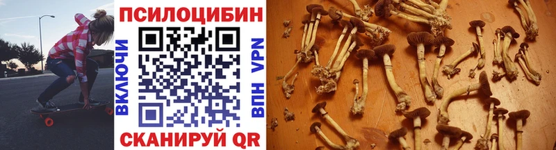 Псилоцибиновые грибы Psilocybine cubensis  Плёс 